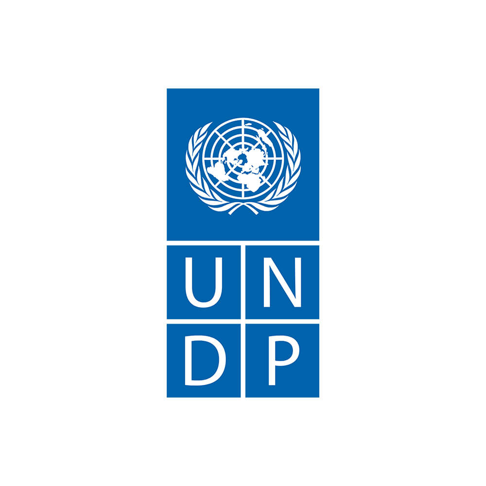 UNDP2
