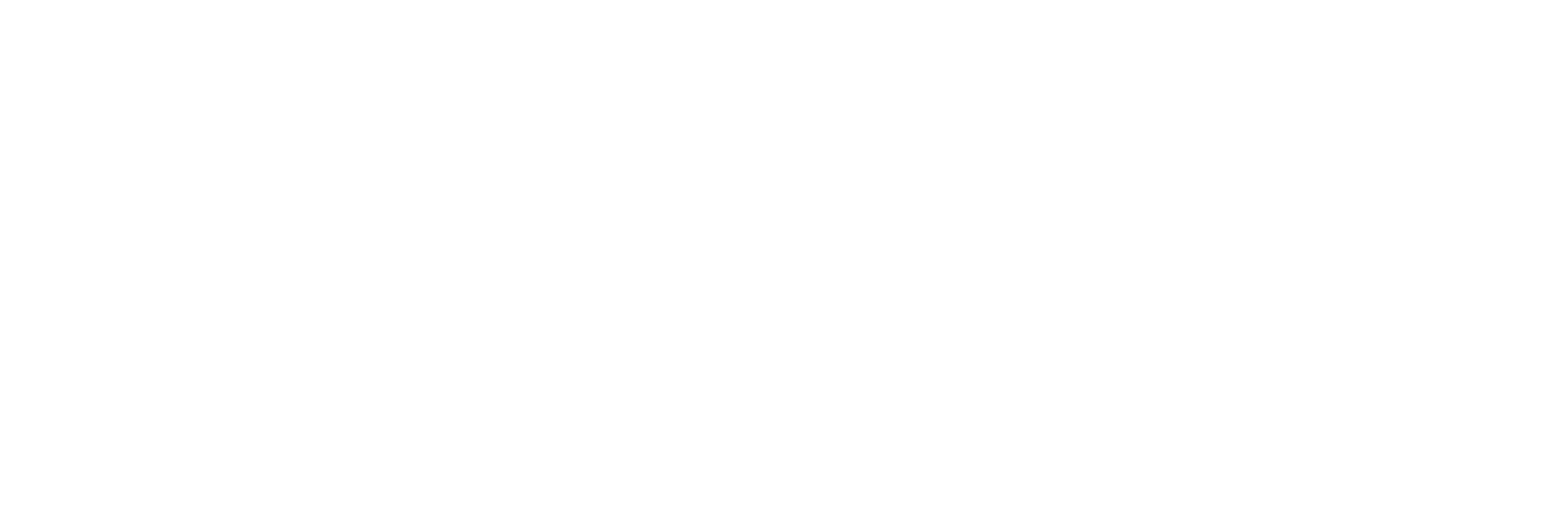 Breavis since 2006_Logo White